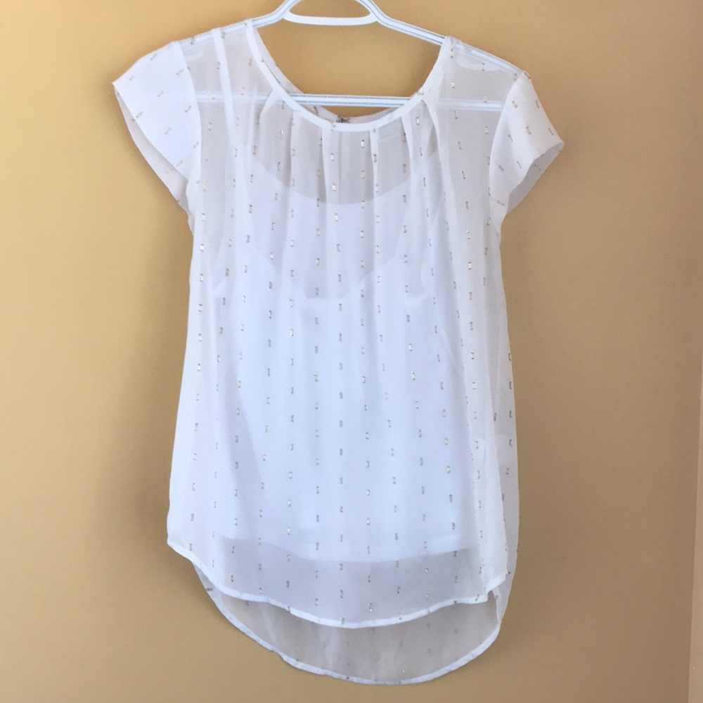 Sheer Blouse